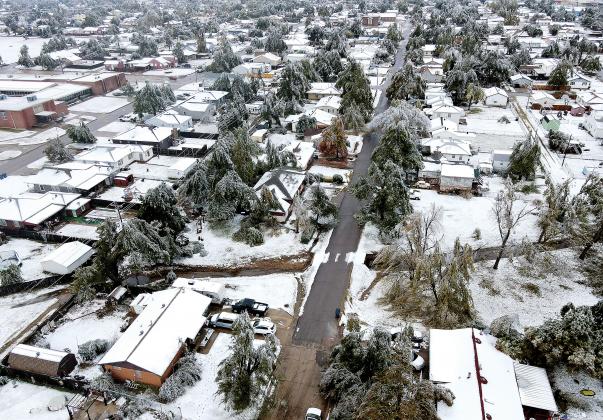 This aerial photo shows widespread damage to trees in the area around Hillcrest