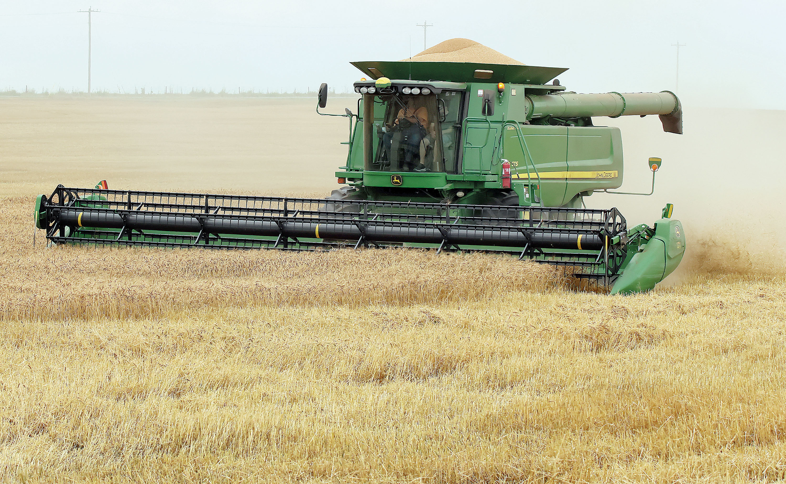 Prices up, harvest yield hit by early 2026 weather