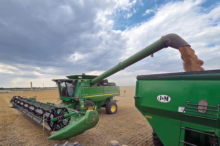 Nick Owen off-loads his harvester into a grain cart while trying to cut a field