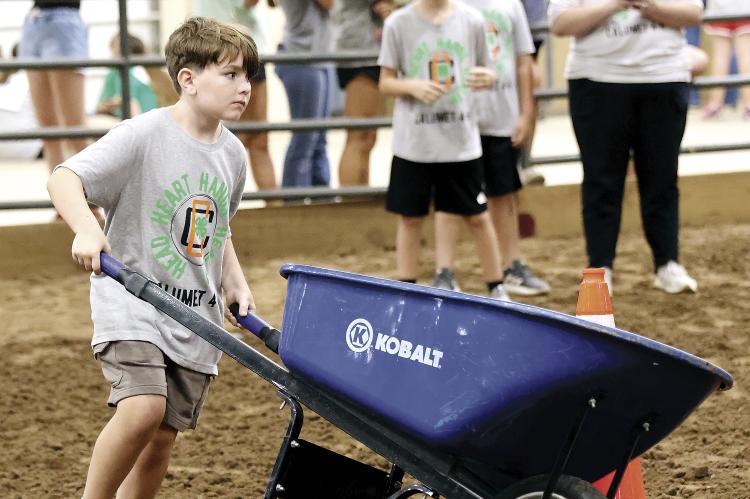 wheelbarrow 1