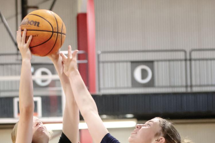 Halli Ferguson battles for a rebound