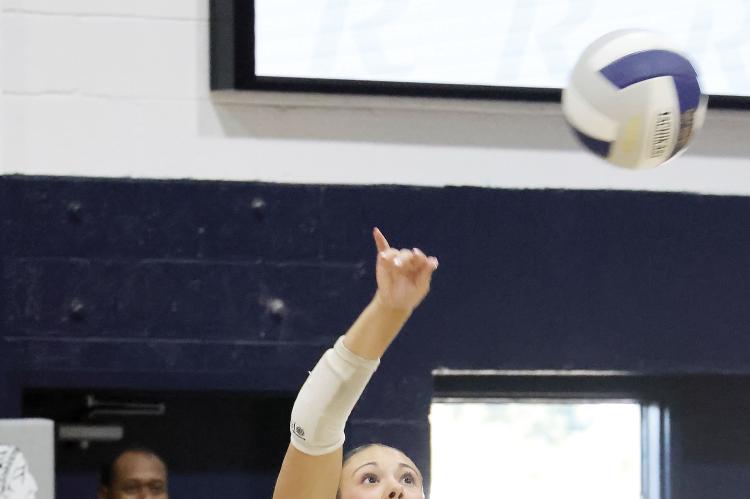 Daily Maples serves up the ball