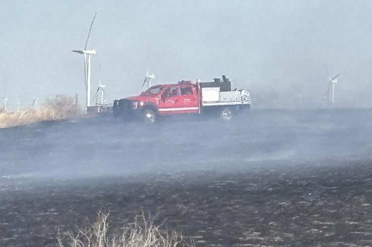 Grass fire