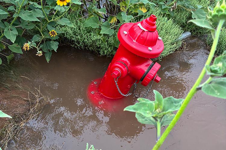 A private fire hydrant sits surrounded by standing water and heavy vegetation