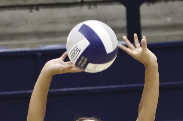 Setter