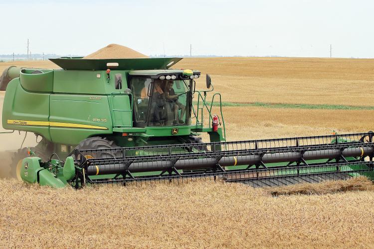 Nick Owen drives a harvester over a patch of wheat