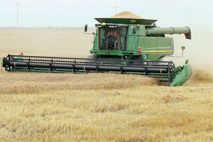 Nick Owen cuts wheat in one of his fields west of Calumet
