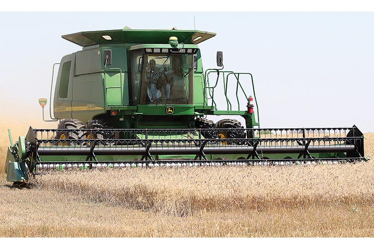 Despite a harsh winter, the wheat harvest in June showed good numbers.