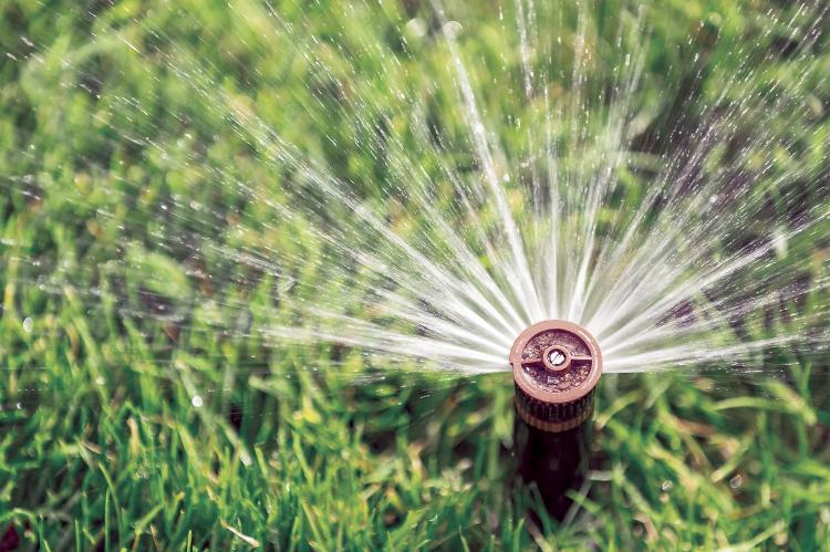 watering