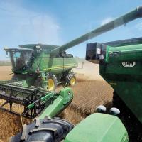 Nick Owen off-loads his combine into a cart while harvesting a field