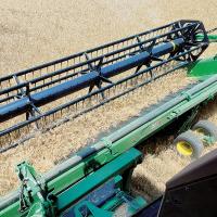 Blades on this combine owned by Nick Owen cut through wheat