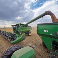Nick Owen off-loads his harvester into a grain cart while trying to cut a field