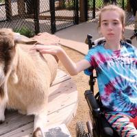 Landry Lewis pets the back of a goat inside the petting zoo