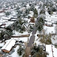 This aerial photo shows widespread damage to trees in the area around Hillcrest