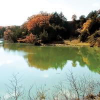 Pond