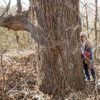 Tree hugging
