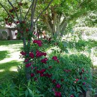 In the Garden art