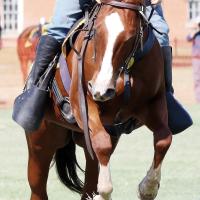 Ashley Mount clears a pole during the horse jumping portion of the 2023 U.S. Cavalry Association Competition