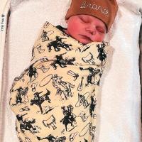 Brand Hayze Denny_Birth Announcement