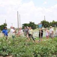 A class in the BlueSTEM garden at historic Fort Reno