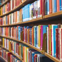 Age-appropriate standard sought for school libraries_art