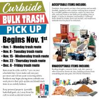 City starts curbside bulk trash pickup_story