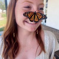 Nose for the butterflies_art