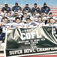 COFL champs with OT win_story
