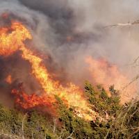Blaze burns countryside_1