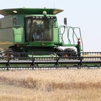 Clark Reuter harvests a field of wheat