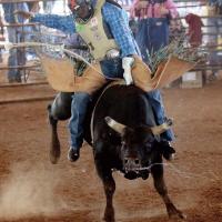 Slobber knocker ride