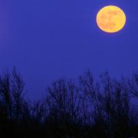 Full moon
