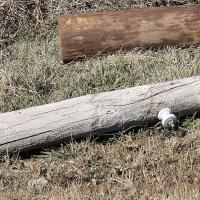 This power pole was snapped in half by the weight of ice from the recent storm