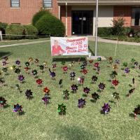 Imagination Library reaches local milestone_1