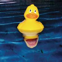 Canadian County Health Department to host pool school safety class_art