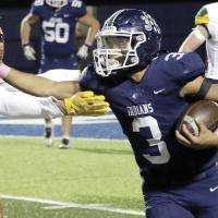 Stiffarm
