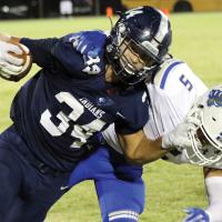 Stiffarm