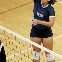 Kallie Maifield had three kills in the loss to Carl Albert