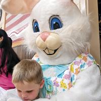 Egg hunts_story