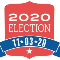 Election 2020 art