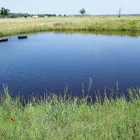 Pond