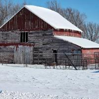 Tribune readers share their snow pics_1