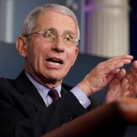 NIAID Director Anthony Fauci
