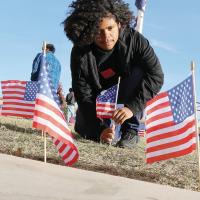 Waving flags