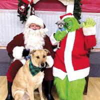 Some pets had their photos taken with Santa and the Grinch