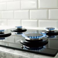 Bice joins effort to aid natural gas stoves from over-regulation_art