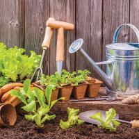 Cleaning & sharpening garden tools during winter will give extra time in spring