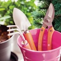 Stop before you lop: A quick guide to winter pruning_art
