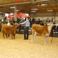 Students from Canadian County came out to show their animals