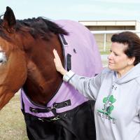 Rita Hoch pets a 2-year-old horse that now lives at the sanctuary
